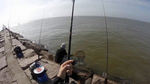 Galveston Ferry Jetty Fishing