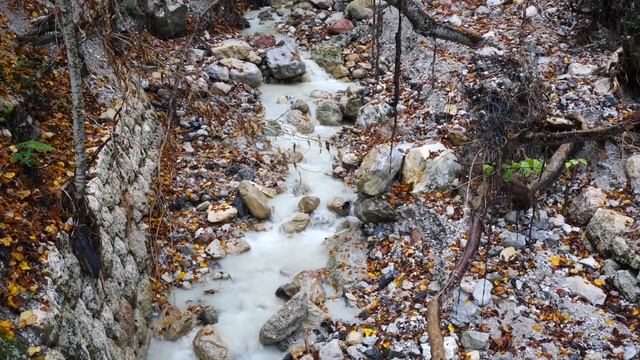 Los ALPES ALEMANES ? | Visitando el Único PARQUE Nacional ALPINO en Alemania! смотреть онлайн