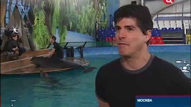 Мюзикл РУСАЛОЧКА - ТвЦенр о тренировке в дельфинарии смотреть онлайн