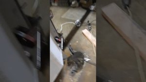 автоматическое золоудаление "отопление в теплицу"