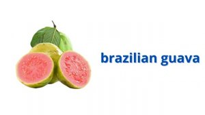 АНГЛИЙСКИЙ (Fruits Name Vocab)