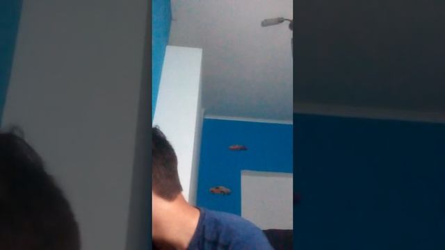 битбокс обучение - клэп - горловой басс смотреть онлайн