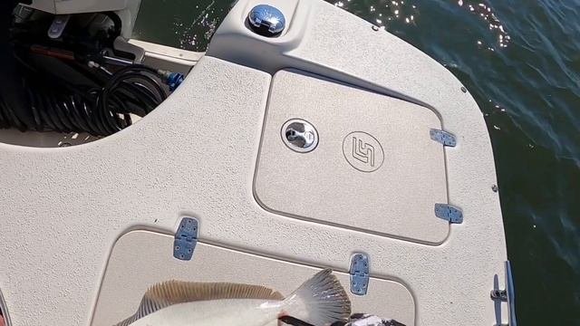 Flounder Fishing In Southern New Jersey June 5, 2021 Squid Vs Gulp