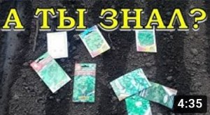 Что сажать в ОКТЯБРЕ на огороде?