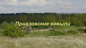 Ковыль