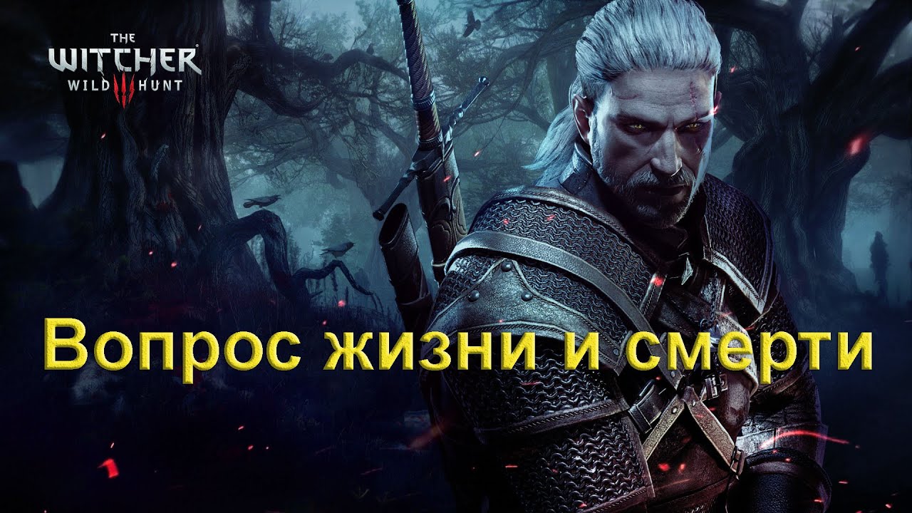 Вопрос жизни и смерти. The Witcher 3 Wild Hunt.