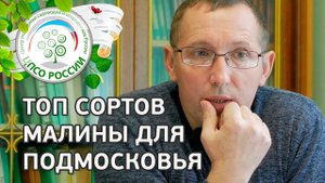 Сорта ремонтантной малины для Подмосковья. Какие сорта ремонтантной малины выбрать для Подмосковья.