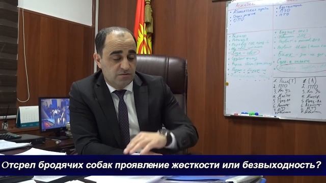 КАК В БИШКЕКЕ БОРЮТСЯ С БРОДЯЧИМИ СОБАКАМИ? ЧТО ИМ ГРОЗИТ ЗА АГРЕССИВНОЕ ПОВЕДЕНИЕ? смотреть онлайн