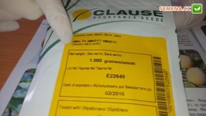 Дыня Амал F1 (АНТИФЕЙК: СТОП, ПОДДЕЛКА!)