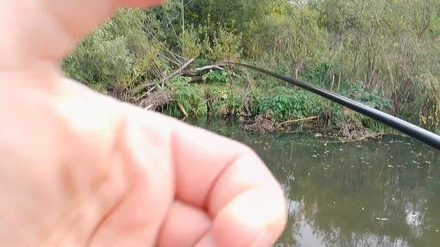 2 октября 2023 г. смотреть онлайн