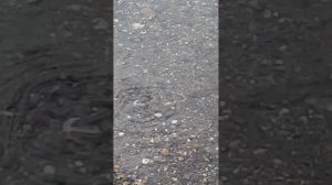 Городской пляж после ливня. Мелеуз.  24.07.2022
