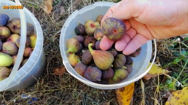 Как сделать простую самоделку для мастерской своими руками / деревообработка / woodworking tools смотреть онлайн