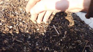 Віялка з бочки для  зерна. Така повинна бути у кожного! Дешевий варіант віялки!