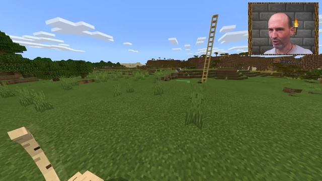 BIG CATS Minecraft Bedrock Addon - PREVIEW смотреть онлайн