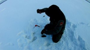 ЗИМНЯЯ РЫБАЛКА НА БЕЛОЯРКЕ (ИМПУЛЬС)