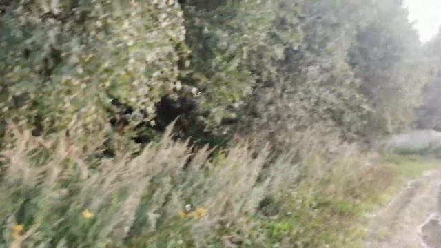 пестовское водохранилище с палаткой