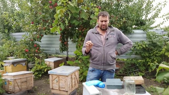 Кормушки для пчел потолочные или  внутриульевые. Дозировка как подкармливать пчел на пасеке