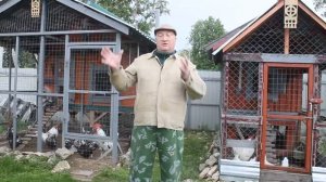 ГАДОСТЬ которой не следует кормить кур. ЧЕРВИ ЭТО  УНИЧТОЖЕНИЕ ПТИЦЫ.