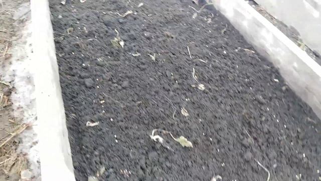 Получаем первый урожай уже в апреле смотреть онлайн