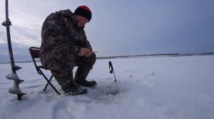 ЗАБЫЛ МОТЫЛЯ И ОПАРЫША ЛОВИЛ НА ГОЛУЮ МОРМЫШКУ! И ВОТ ОНА РЫБКА! РЫБАЛКА НА ЖЕРЛИЦЫ! ЗИМНЯЯ РЫБАЛКА