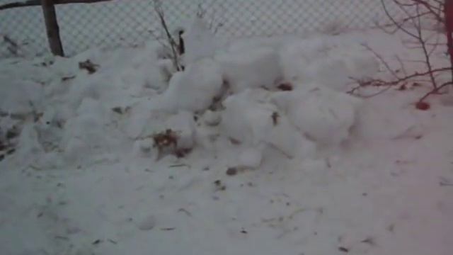 Пчеловодство.В ожидании весны. смотреть онлайн