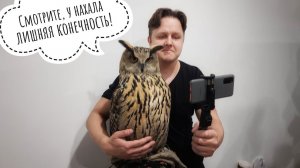 Сова филин Ёль побыла на разогреве у зайцев-миллионников! Ярмарка от @Suprememazay