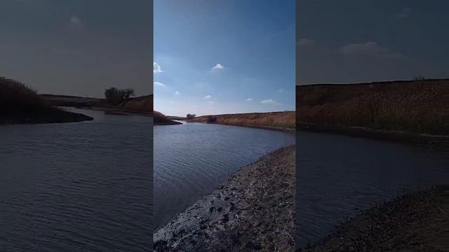 20 октября 2019 г.Рыбалка Донская Царица смотреть онлайн