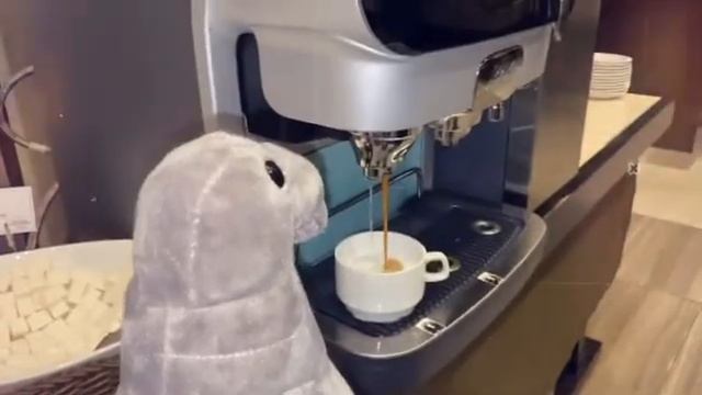 Ждун живет в кайф смотреть онлайн