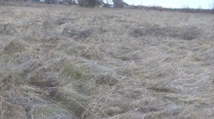 Стрельба тяжелыми стрелами из длинного лука