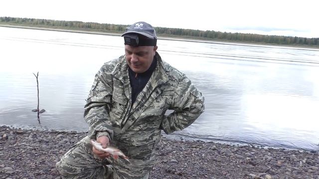 Выехали на соревнования по рыбалке и заняли призовое место / Рыбалка на спиннинг с берега смотреть онлайн