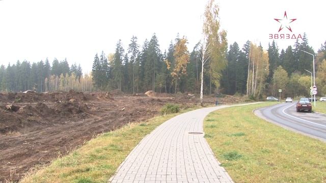 Вырубаются для строительства жилья. В Новополоцке ведется освоение территорий нового микрорайона 8А