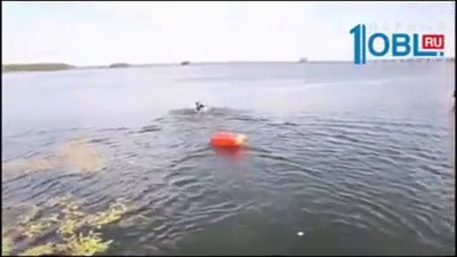 ЭТО ПОЧЕМУ Я УВИЛЬДЫ ПЕРЕПЛЫЛ — ПОТОМУ ЧТО У МЕНЯ ВЕЛОСИПЕДА НЕ БЫЛО смотреть онлайн