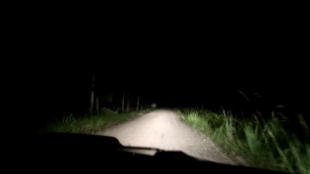 MULHER DE PRETO SE MATERIALIZOU EM FORMA DE ANIMAL смотреть онлайн