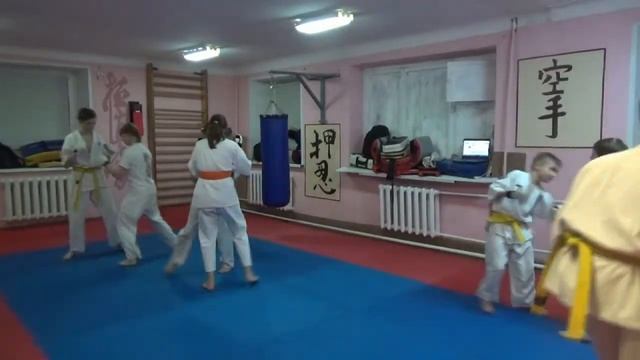 Тренировка 26 апреля 2019 года. Группа №3 Киокусинкай Каратэ Климовск смотреть онлайн