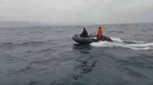 Беспокойное море и Риф Скат 370 двумя бортами идут домой с рыбалки!