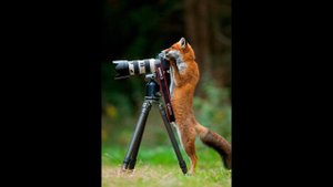 лучшие приколы #9 / приколы тик ток 2022 / нарезка приколов 2022