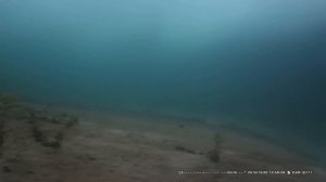 Лучшая камера для рыбалки. Большой комплект HD. глубина 15 м