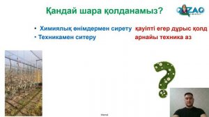 Жеміс ағаштары гүлдері не түйіндерін сирету / жегенелеу