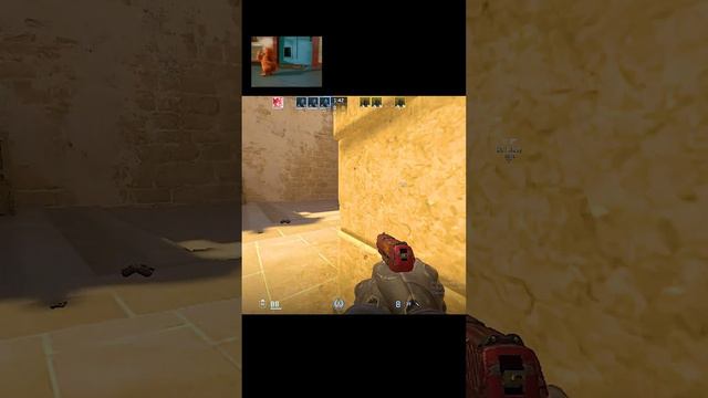 Жена играет в кс 2


#csgo #gameplay #fails #игра #неудачи #marmok  #геймплей #приколы #баги