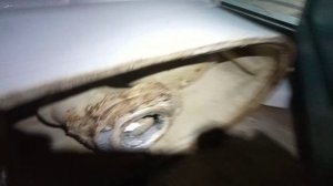 Странная особенность китайского унитаза.