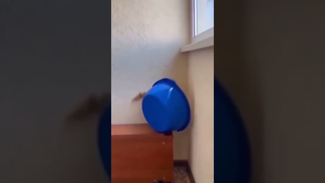 Просчитался, но… где? смотреть онлайн