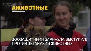 Барнаульские зоозащитники выступили против эвтаназии бродячих животных