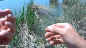 ВОДА КИПИТ, КАМЫШ ТРЕЩИТ. БЕШЕНЫЙ КЛЁВ КАРАСЯ НА ПОПЛАВОЧНУЮ УДОЧКУ. Это лучшая рыбалка!