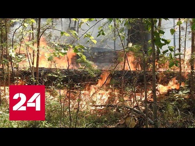 В Красноярском крае удалось локализовать только часть возгораний - Россия 24