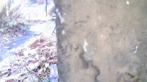 Купил ЗАБРОШЕННЫЙ ДОМ в Деревне