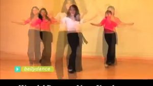 World Dance Workout DVD/instant video  Belly Dance, Bollywood, Salsa, Samba, and Flamenco!