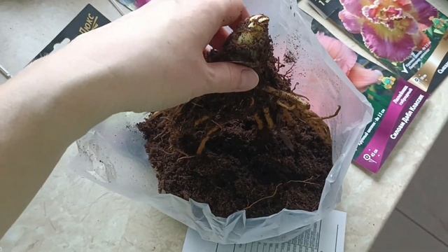 Покупки от агрофирмы "Поиск" смотреть онлайн