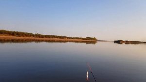 Амур Рыбалка Май