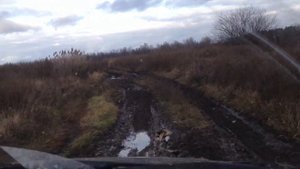 Нива шеврале по бездорожью Рязанской области