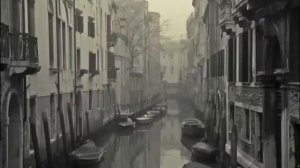 Дельфин - Утро